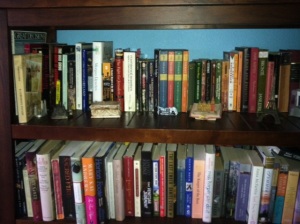 Rebekah Lyn's bookcase